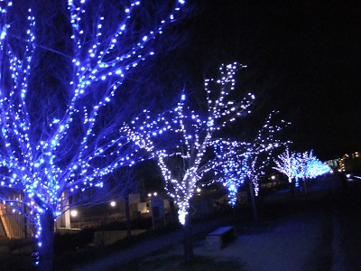 イルミネーション③