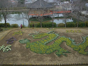 安倍文殊院・ジャンボ花絵