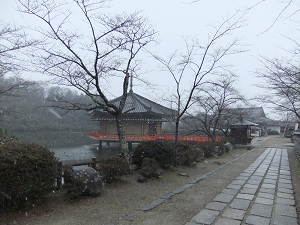 雪の安倍文殊院　浮御堂②