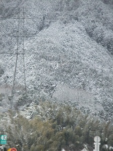 奈良の雪景色①