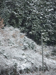 奈良の雪景色②