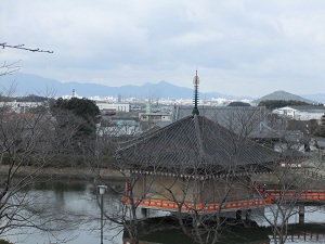 展望台からの景色