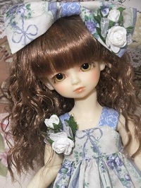 ブルーローズのサマードレス②