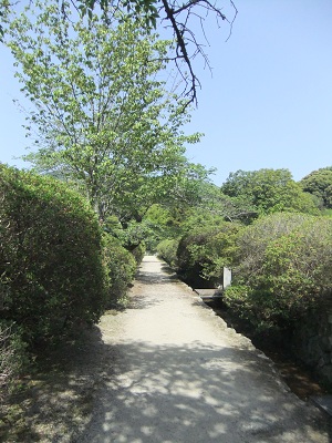 長岳寺・大門からの参道