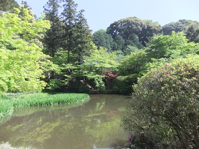 本堂向かい側の放生池