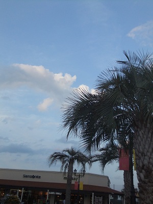 三田プレミアムアウトレット②