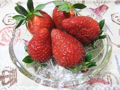 今朝採れた苺～
