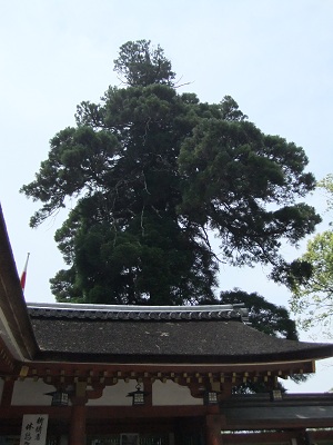 石上神宮　境内②