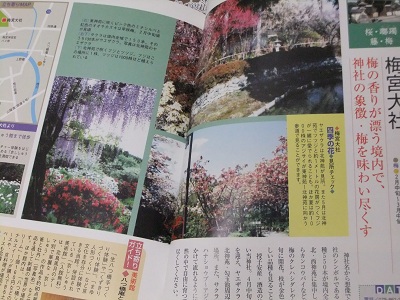 花の名所　中①