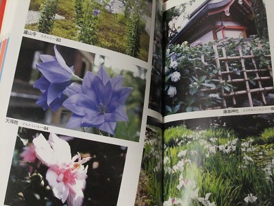 花の名所　中②