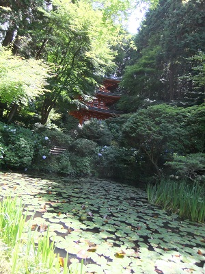 岩船寺　池の手前からの三重塔