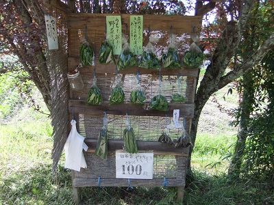 参道わきの野菜売り場？