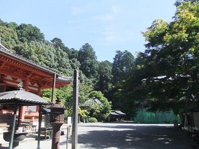 観心寺　金堂の前