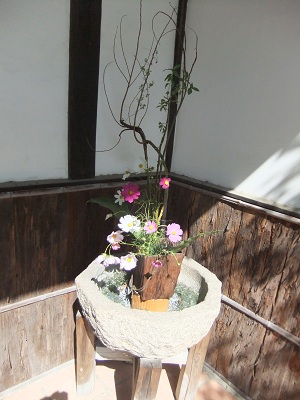 百年邑 入り口横のお花