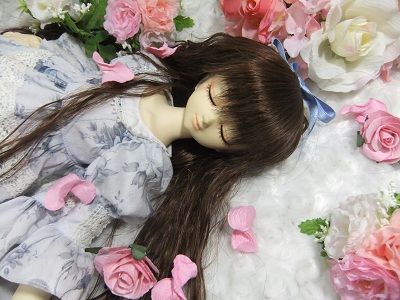 MSDスィートドリーム　