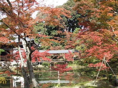 臥龍池にうつる紅葉