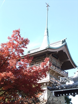 祇園閣と紅葉