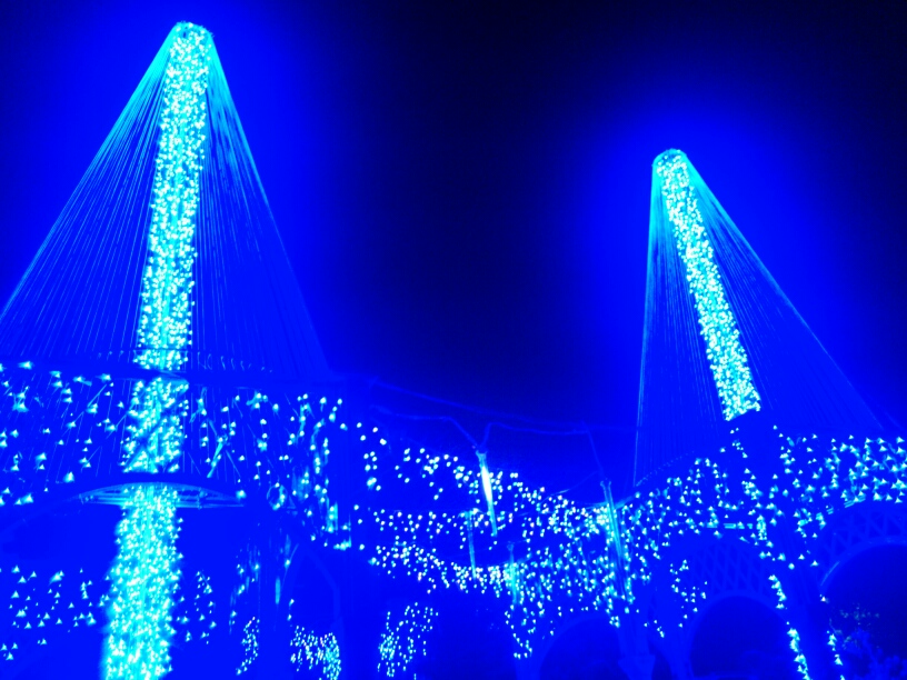 寺が池公園　クリスマスイルミネーション