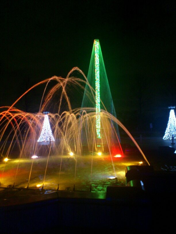 寺が池公園　クリスマスイルミネーション