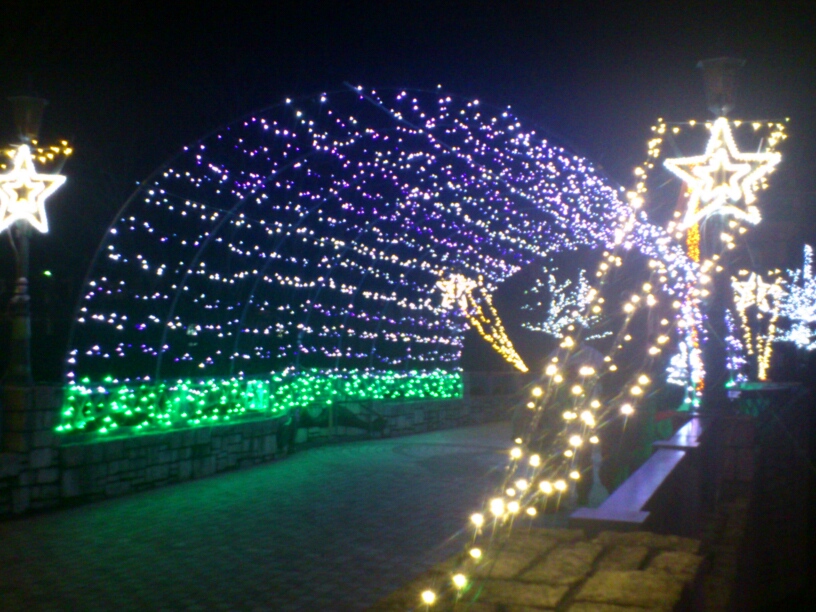 寺が池公園　クリスマスイルミネーション