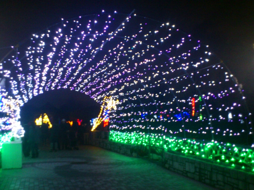寺が池公園　クリスマスイルミネーション