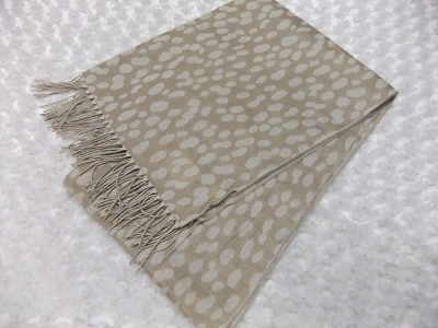 息子から妹へのクリスマスプレゼント