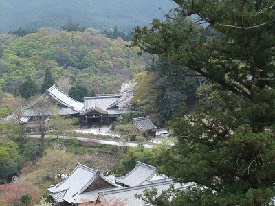 長谷寺 舞台からの景色