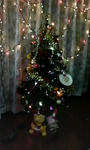 P1000004.JPG