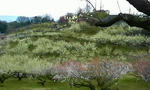 P1000056.JPG
