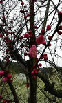 P1000036.JPG
