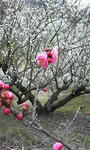 P1000031.JPG