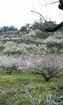 P1000030.JPG