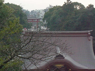 DSC00021.JPG
