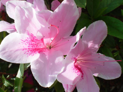 DSC00094.JPG