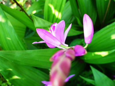 DSC00105.JPG