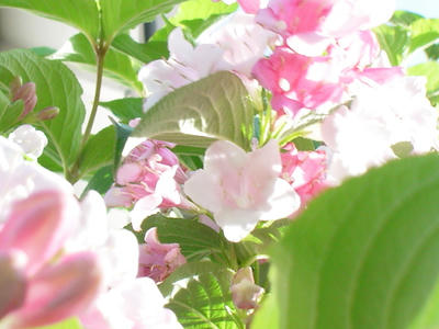 e08bc64d.JPG