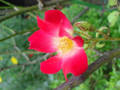 DSC00069.JPG