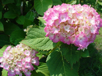 DSC00114.JPG