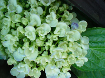 DSC00122.JPG