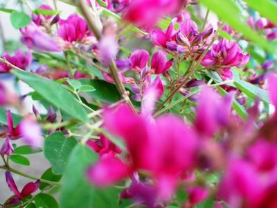 58778b80.JPG