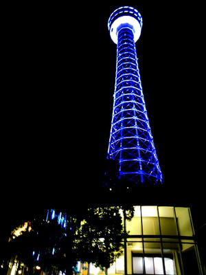 DSCN1489-1.jpg