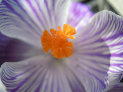 DSCN4253.JPG