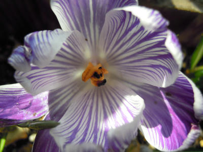 DSCN4256.JPG