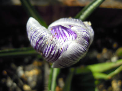 DSCN4267.JPG