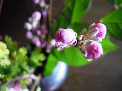 DSCN4295.JPG