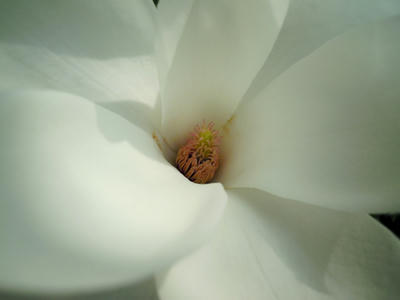 DSCN4849.JPG