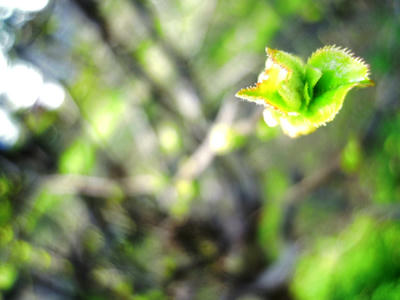DSCN4836.JPG