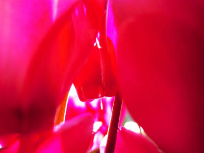 DSCN5128.JPG