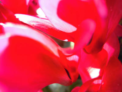 DSCN5133.JPG