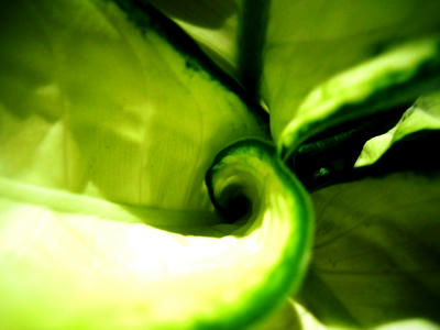 DSCN5041.JPG